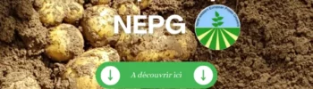 CP NEPG